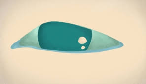 Video educativo nato allo scopo di spiegare ad un bambino perchè il suo compagno di classe è strano.l' autismo spiegato a un bambinoluca saccardo (illustrat. Video Virale Cosa Succede Nella Mente Di Un Bambino Autistico Disabili Com