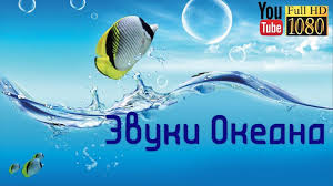 музыка для сна гармония с миром музыка для релаксации 3 Chasa Luchshaya Launzh Muzyka Dlya Relaksa Spokojnaya Embient Melodiya Na K Lounge Music Relaxing Music