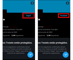 ▷ Cómo ver tweets de una cuenta privada