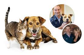 And hillcrest animal hospital has always been to provide excellent customer service and gold standard care for our community and their beloved pets. Home Wilbraham Animal Hospital Western Massachusetts