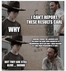 Pin By Alison Cote On Work Rick And Carl Walking Dead Memes The Walking Dead
