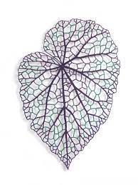 This Begonia Leaf Artwork Was Inspired By My Visit To The Ballarat Begonia Festival At The Ballarat Botanic Gardens Leaf Artwork Embroidery Art Textile Artists