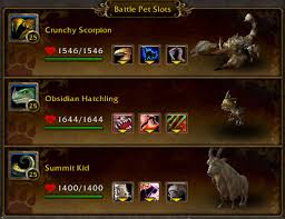 To have an active pet on your team, you'll need to select a companion from the list in your pet journal, and drag it into the first space under battle pet slots. Battlepetroundup Com A World Of Warcraft Pet Battle Blog Page 4