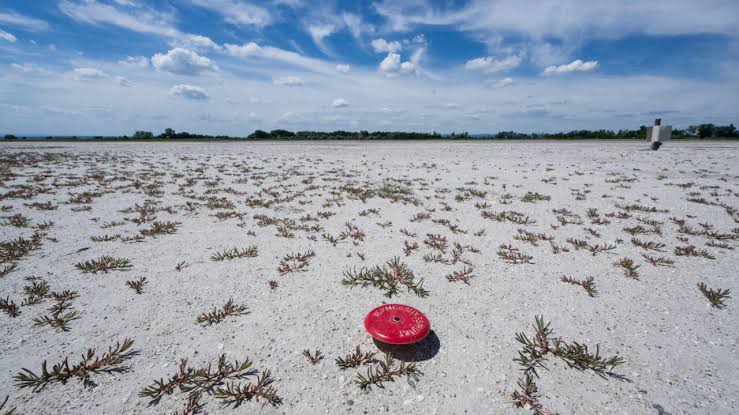 Europe swelters under record-breaking heatwave
