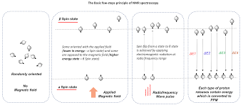 The Basic Few Steps Principle Of Nmr Spectroscopy In 2020 Chemical Shift Principles Chemistry