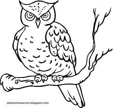 Maybe you would like to learn more about one of these? 76 Koleksi Sketsa Gambar Burung Hantu Untuk Kolase Terbaru Kumpulan Gambar Kolase