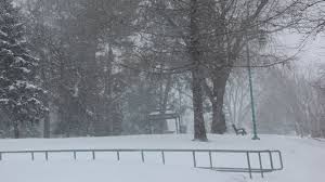 Select word length and initial letter Reflections Snow Is A Four Letter Word Sudbury Com