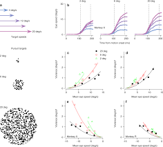 Neural structure of a sensory decoder for motor control