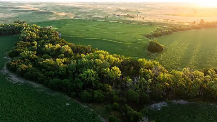 صفر تا صد خرید زمین برای افراد مبتدی 