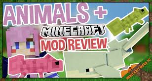 Pets are domesticated animals that are kept as companions and looked after by their owners. Ldshadowlady S Monsters And Pets Mod 1 12 2 Minecraft Mods Pc