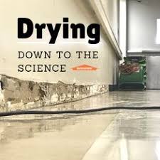 Maybe you would like to learn more about one of these? 67 Servpro S Blogs Tips Ideas Restoration Brevard Emergency Service