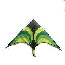 2022 New Model Triangle Kite - Easy Flying Fun for All Ages