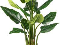 Kunstpflanze Splitphilodendron Creativ Green Hohe 170 Cm Online Kaufen Otto Kunstpflanzen Kunstliche Zimmerpflanzen Pflanzen