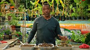 Masterclass Ron Finley Teaches Gardening Finley Backyard Ideas For Small Yards Grow Your Own Food
