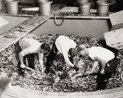 Image result for Dark Gray 1983 Caloric