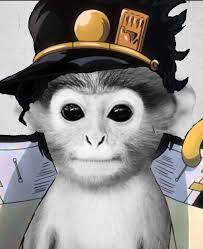 Dope pfp for tiktok : Pfp S On Tiktok Is This Monkey Which Is A Pfp For P3dos Apparently But Now It S Funny Here S My Edit Shitpostcrusaders