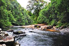 Photos, address, and phone number, opening hours, photos, and user reviews on yandex.maps. Taman Negara In Malaysia The Complete Guide