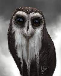 Owl Master Art Print By Alex Ruiz Beautiful Owl Owl Photos Owl