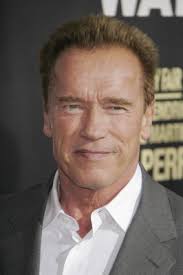 Arnold Schwarzenegger interview: The most challenging character ever for  the tough guy in “Sabotage”