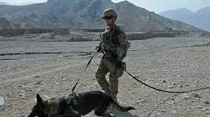 The pentagon shot down reports tuesday that the u.s. M6yycg996ghpum
