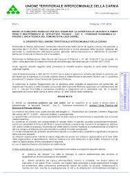 PALUZZA_BANDO_CONCORSO_CAT C_TECNICO