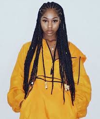 Box braids hairstyles are for girls who are already sick and tired of styling their hair every day. 30 Best Braided Hairstyles For Women In 2021 The Trend Spotter