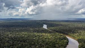 Seine zerstörung würde die klimakrise dramatisch anfachen. Amazonas Regenwald Wird Zur Treibhausgas Quelle Wissen Sz De