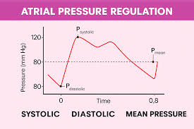 Image result for Pulse Pressure