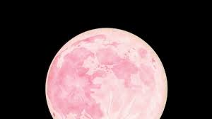 Vollmond wird dieses mal auch supermond genannt; Rosa Vollmond Am 08 04 2020 Riesiger Pink Moon Erhellt Heute Den Himmel News De