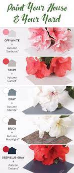 Pin On Landscaping With Encore Azaleas