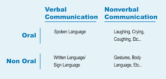 Verbal Communication 