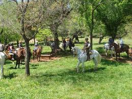 Tenemos 2 viviendas en venta para tu búsqueda casa rural fuenteheridos, con precios desde 159.000€. Hostel Casa Rural Superior Casa Tinoco Fuenteheridos Huelva Hotelopia