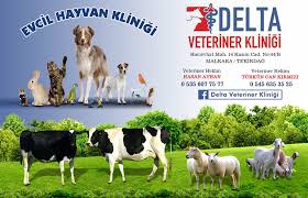 Delta Veteriner Klinigi Malkara Nin Sehir Portali