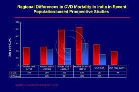 India Overview Cadi