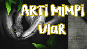 Inilah ulasan tentang maksud mimpi biawak menurut islam dan sejumlah informasi lain yang berkaitan dengan mimpi yang anda alami. Daud Tony Arti Mimpi Ular Youtube