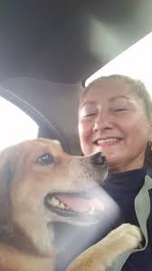 Bloque Defensores An