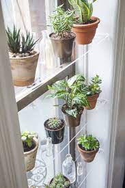 30 Succulent Plant Ideas For Decorating Small Apartment The Urban Interior Indoor Gardening Diy Window Shelves Plants