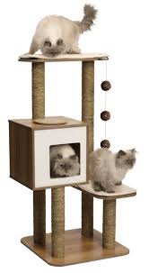 665978 Large Jpg 329 600 Pixels Tirmanma Kedi Evi Kedi