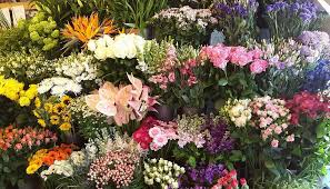 Perfect for bringing that cottage garden look to your summer garden. Cottage Garden Florist Willington Home Facebook