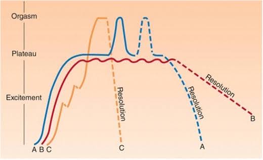 Masters and Johnson's female sexual response cycle that can be... | Download Scientific Diagram