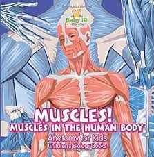The textbook follows the scope and sequence of most human anatomy and physiology courses, and its coverage and organization were informed by hundreds of instructors who teach the course. Muscles Muscles In The Human Body Anatomy For Kids Children S Biology Books Books Baby Iq Builder 9781683747055 Amazon Com Books