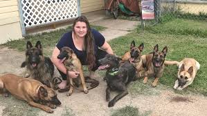 For instance did you know that the u.s. Malinois On Tumblr