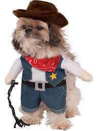 There is a pair of faux arms makes your pet look like a cowboy, very funny and adorable. Walking Cowboy Costume For Pets Dog And Cat Costumes For 2019 Wholesale Halloween Costumes