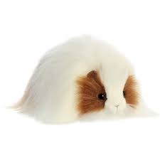 People who haven't been around guinea pigs often don't believe this, but these friendly little animals really do recognize and respond to their owners. Douglas Otis Long Haired Guinea Pig Plush Stuffed Animal Buy Online In Sri Lanka At Desertcart Lk Productid 111111137