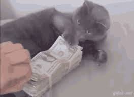 Check spelling or type a new query. Paws Off My Money Gif Paws Off My Money Cat Discover Share Gifs