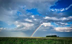 There are multiple versions of the rainbow bridge poem, the original author of which is reportedly unknown. Where Does The Term Rainbow Bridge Come From And Why Is It Synonymous With The Loss Of A Pet By Humane Goods Medium