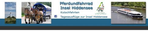 Hiddensee Mit Pferd Und Fahrrad Die Ostseeinsel Erleben