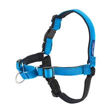 Deluxe Easy Walk Harness