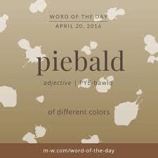 Instagram Video By Merriam Webster Apr 20 2016 At 6 32pm Utc Unusual Words Words Word Of The Day