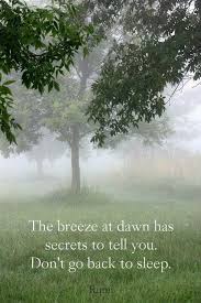 The Breeze At Dawn Has Secrets To Tell You Don T Go Back To Sleep Rumi Rumi Quotes Rumi Nature